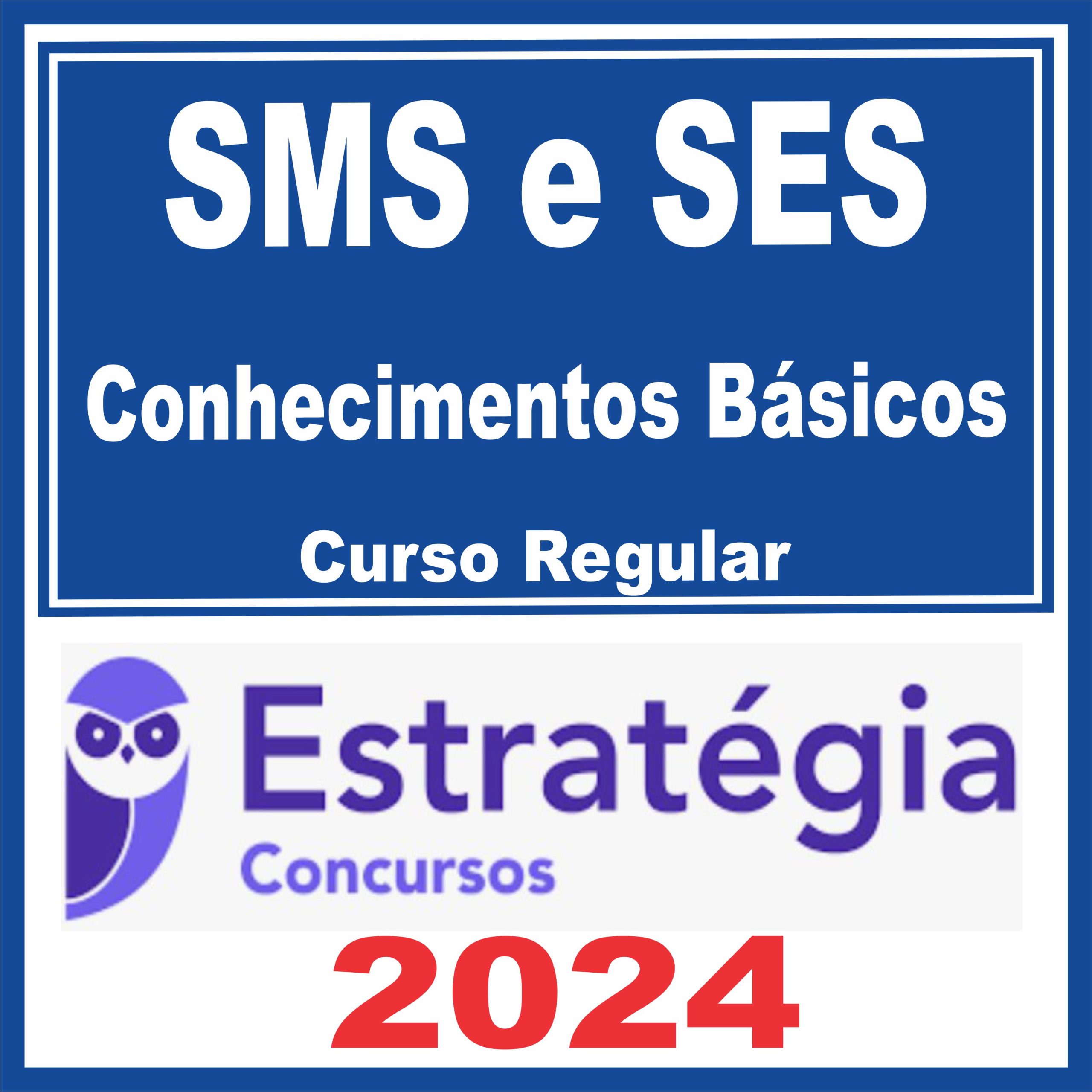 sms-ses-basicos