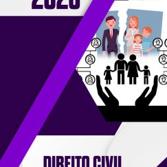 direito-civil