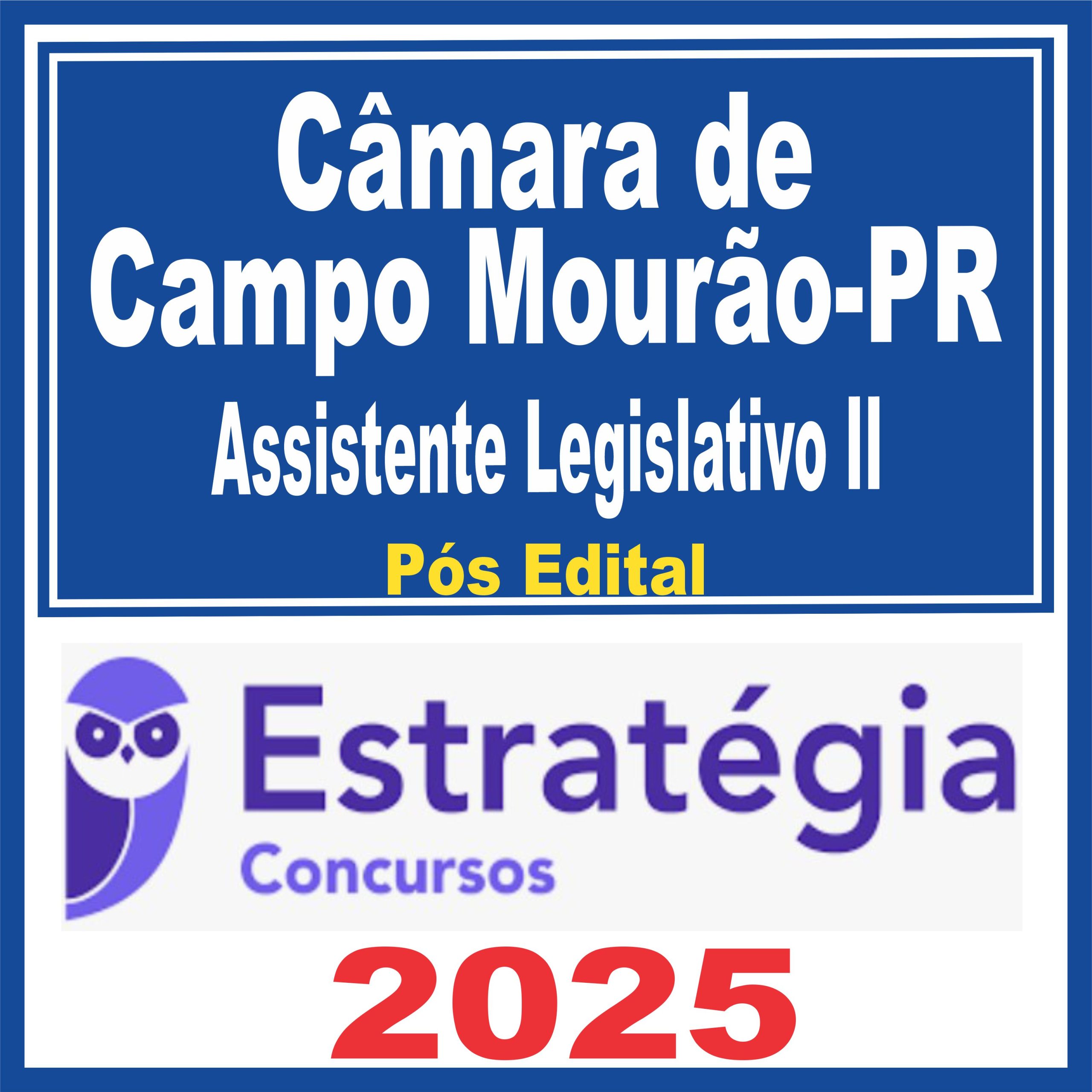 camara-campo-mourao-assist-leg